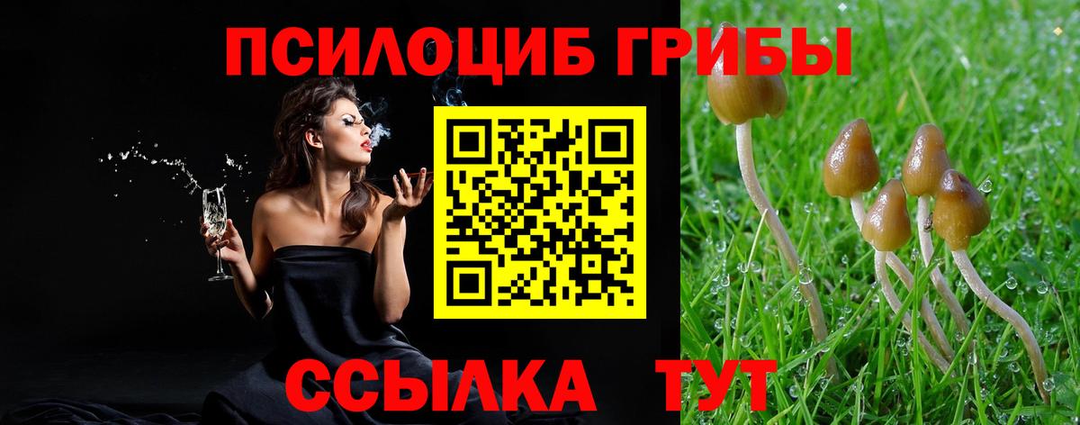 где найти наркотики  Псилоцибиновые грибы MAGIC MUSHROOMS  Обь  Вход с VPN  Псилоцибиновые грибы прущие грибы 